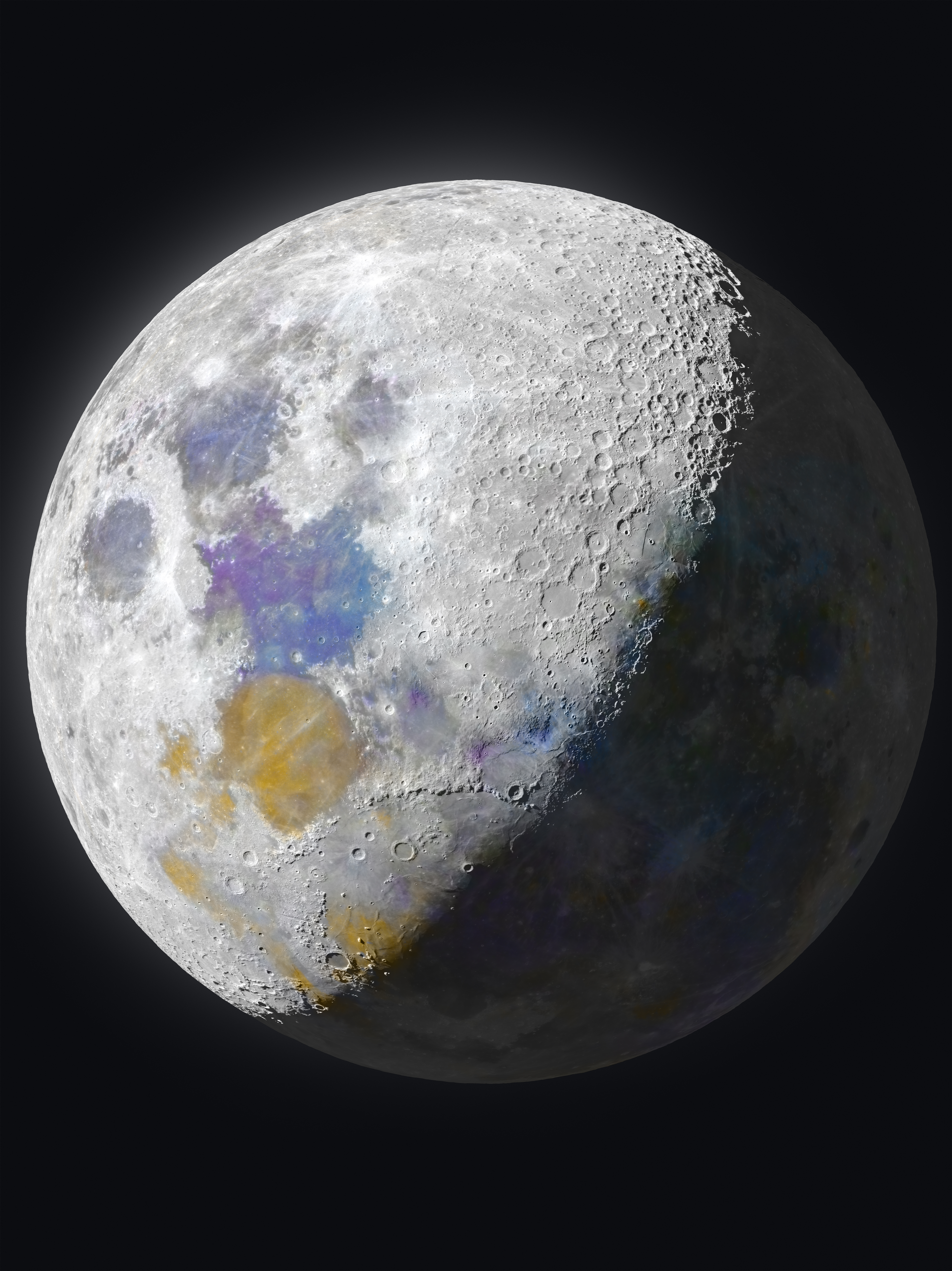 Moon in Bloom